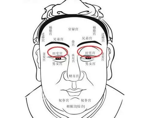 “田宅宫”的面像有哪些特征
