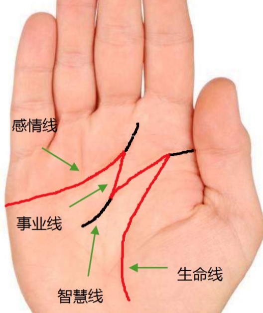 手掌纹和人的关系