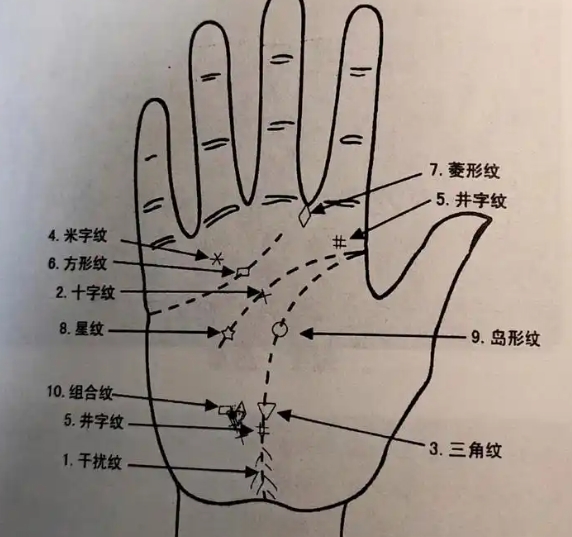 手掌乱纹多的人命运如何？