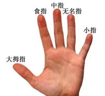 相学——富贵手纹!