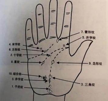 手掌乱纹多的人命运如何?