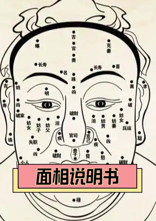 从自己面容看配偶长相怎么样