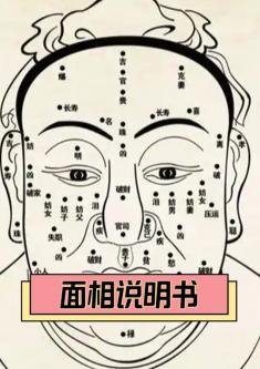 从自己面容看配偶长相怎么样