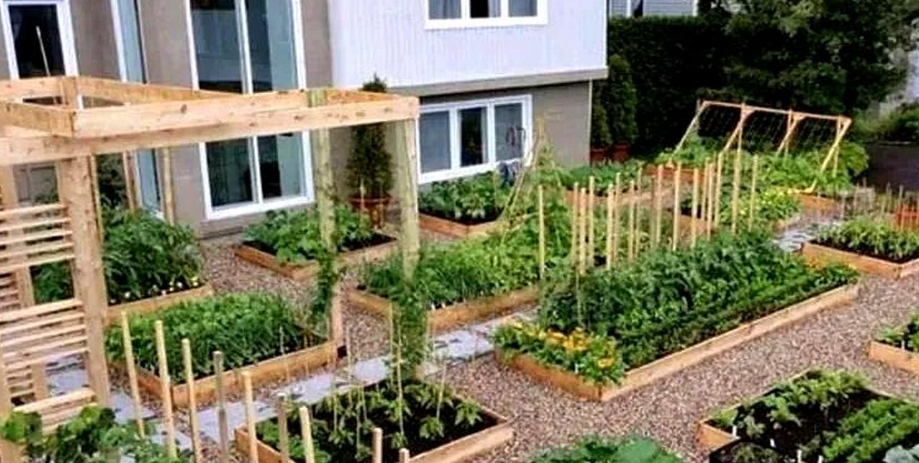 屋后种瓜果对风水好吗 屋后种瓜果对风水好吗