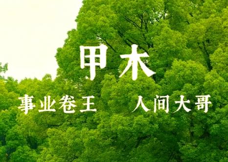 乙巳年辛巳月甲木运势