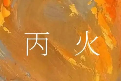 乙巳年辛巳月丙火运势