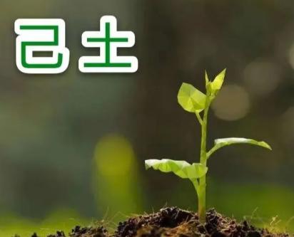 乙巳年辛巳月己土运势