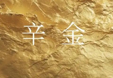 乙巳年辛巳月辛金运势