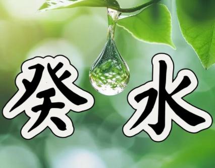 乙巳年辛巳月癸水运势