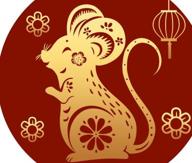 属鼠女和属牛男相冲吗