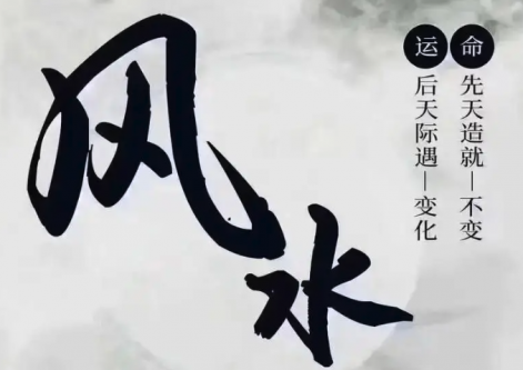 风水客厅放什么植物