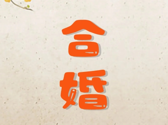 属龙的跟什么合婚最好
