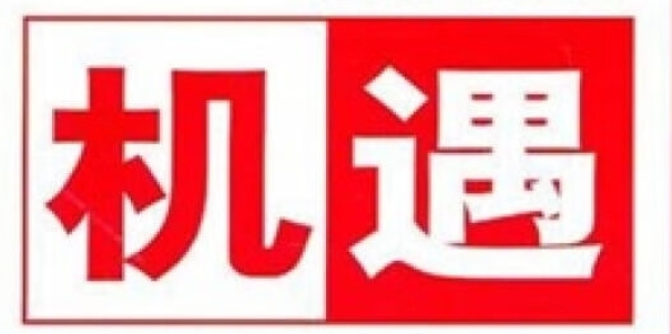 2025年十二生肖每月运势详解