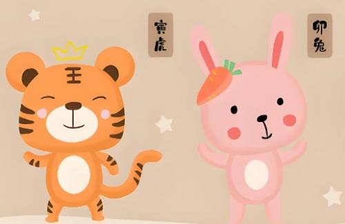 十二生肖旺运颜色指南