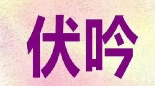 八字中的“伏吟”和“反吟”对运势有何影响？