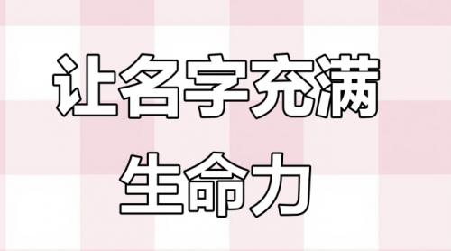 名字能量学与振动频率解析