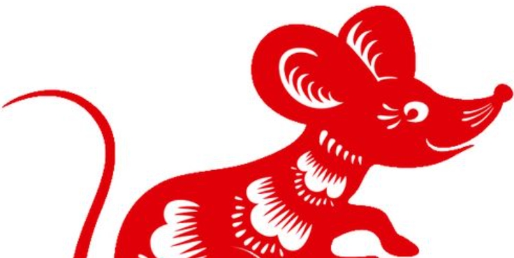 属鼠人地支子的命理含义