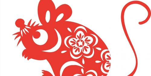 属鼠人35岁后运势转折