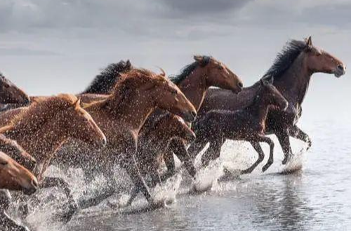 禄马同乡格出差遇贵人:是前世缘分还是今生努力? 禄马同乡格出差遇贵人:是前世缘分还是今生努力?