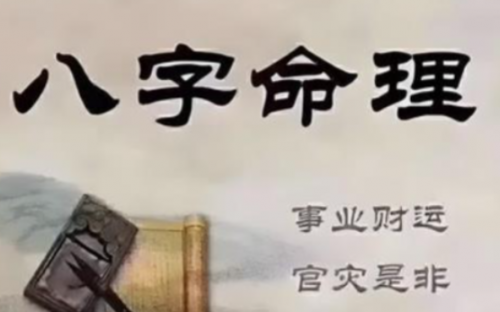 官杀护财格前世为官今世经商的贵气命局