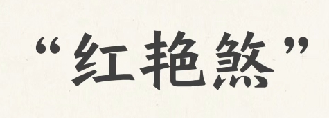 夫妻宫犯红艳煞是什么意思