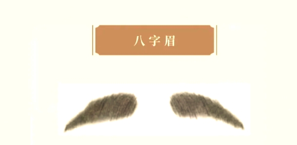 八字眉的人命运怎么样