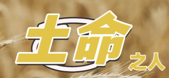 土命人木命人迷茫