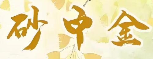 女孩沙中金命是什么意思