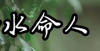 饿水命不适合的颜色