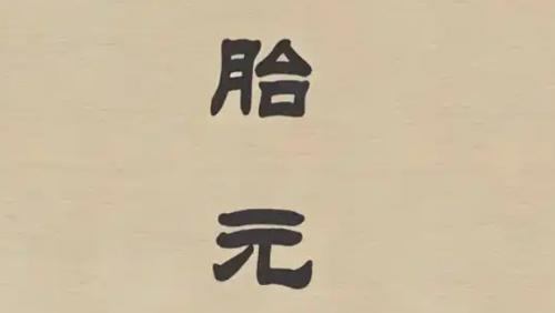 胎元命宫对八字的作用